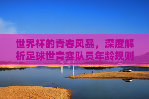世界杯的青春风暴,深度解析足球世青赛队员年龄规则与意义