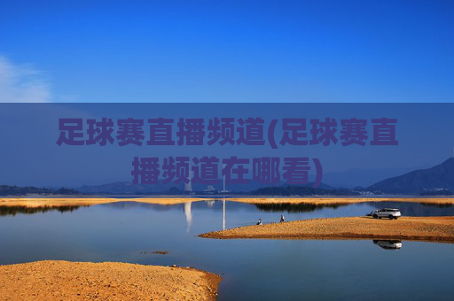 足球赛直播频道(足球赛直播频道在哪看)