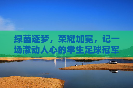 绿茵逐梦，荣耀加冕，记一场激动人心的学生足球冠军颁奖礼