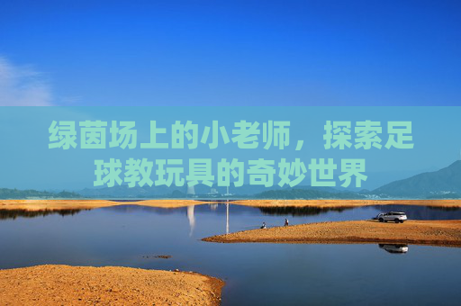 绿茵场上的小老师,探索足球教玩具的奇妙世界
