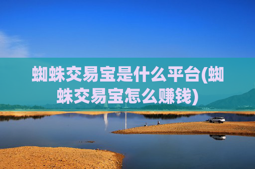 蜘蛛交易宝是什么平台(蜘蛛交易宝怎么赚钱)