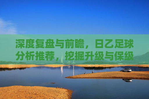 深度复盘与前瞻,日乙足球分析推荐,挖掘升级与保级背后的数据逻辑