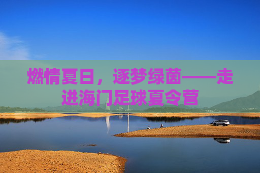 燃情夏日，逐梦绿茵——走进海门足球夏令营