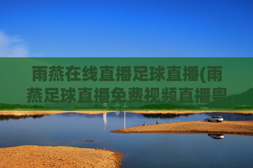 雨燕在线直播足球直播(雨燕足球直播免费视频直播粤语)