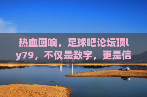 热血回响,足球吧论坛顶ly79,不仅是数字,更是信仰