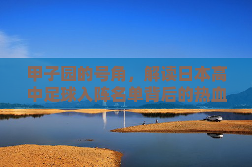 甲子园的号角,解读日本高中足球入阵名单背后的热血与梦想