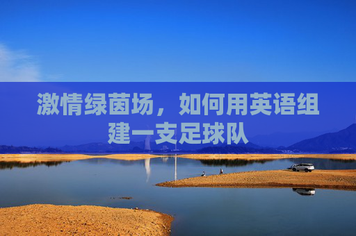 激情绿茵场,如何用英语组建一支足球队
