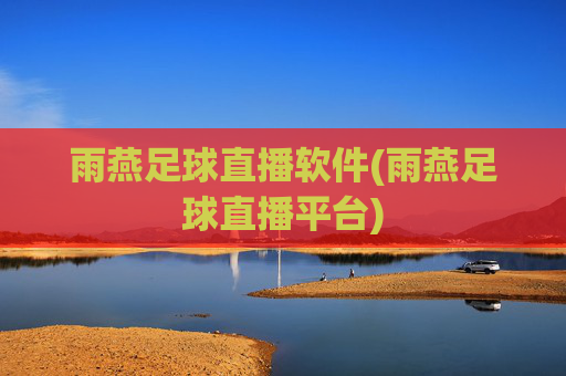 雨燕足球直播软件(雨燕足球直播平台)