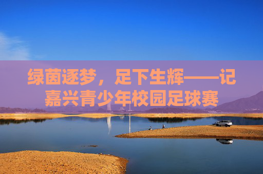 绿茵逐梦,足下生辉——记嘉兴青少年校园足球赛