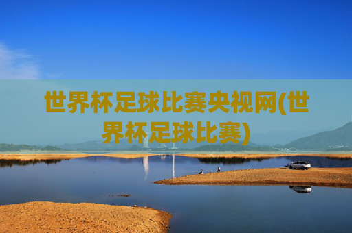 世界杯足球比赛央视网(世界杯足球比赛)