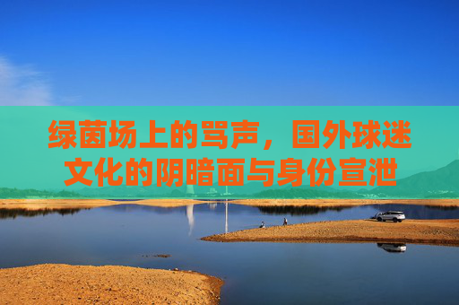 绿茵场上的骂声,国外球迷文化的阴暗面与身份宣泄