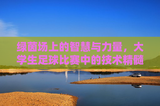 绿茵场上的智慧与力量,大学生足球比赛中的技术精髓与实战应用