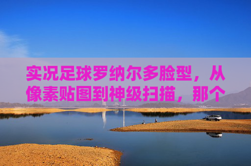 实况足球罗纳尔多脸型,从像素贴图到神级扫描,那个外星人永远在心中
