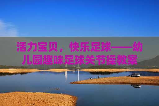 活力宝贝,快乐足球——幼儿园趣味足球关节操教案