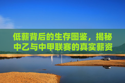 低薪背后的生存图鉴,揭秘中乙与中甲联赛的真实薪资现状