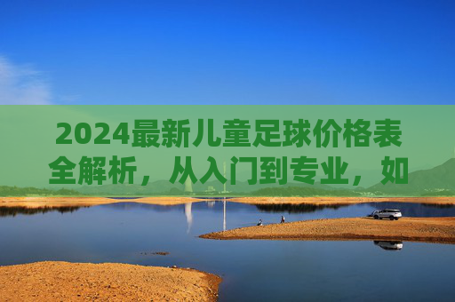 2024最新儿童足球价格表全解析,从入门到专业,如何为孩子选对装备?