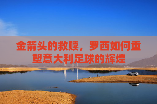 金箭头的救赎,罗西如何重塑意大利足球的辉煌