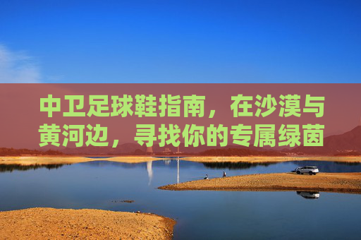 中卫足球鞋指南,在沙漠与黄河边,寻找你的专属绿茵场