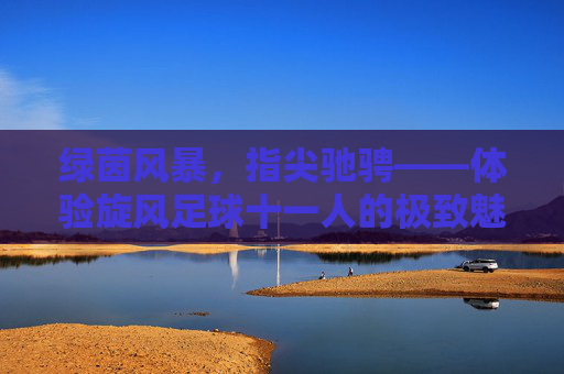 绿茵风暴,指尖驰骋——体验旋风足球十一人的极致魅力