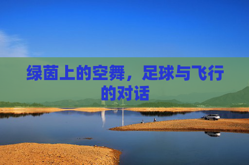绿茵上的空舞，足球与飞行的对话