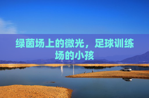 绿茵场上的微光,足球训练场的小孩