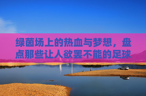绿茵场上的热血与梦想,盘点那些让人欲罢不能的足球电视剧