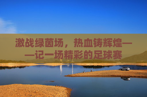 激战绿茵场,热血铸辉煌——记一场精彩的足球赛