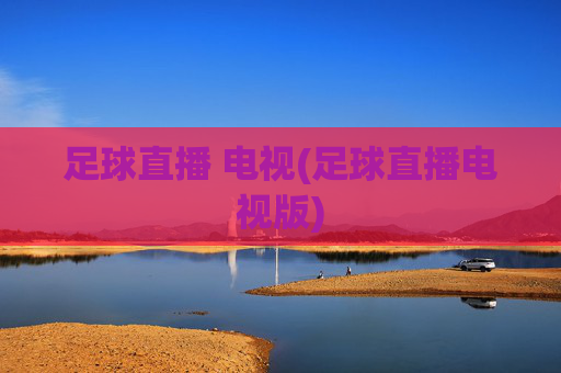 足球直播 电视(足球直播电视版)