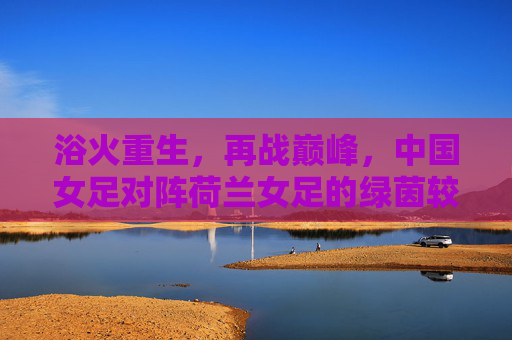 浴火重生,再战巅峰,中国女足对阵荷兰女足的绿茵较量