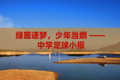 绿茵逐梦,少年当燃 —— 中学足球小报