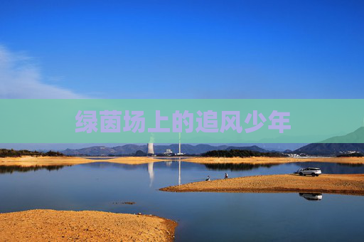 绿茵场上的追风少年