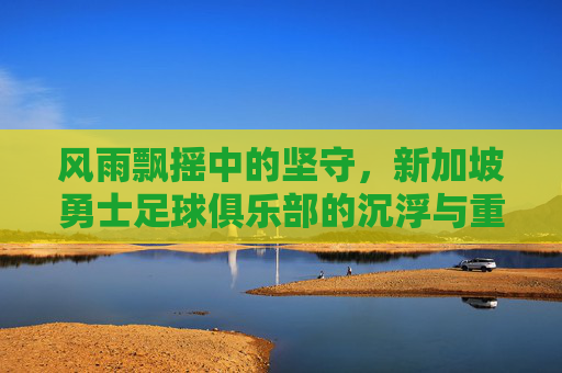 风雨飘摇中的坚守,新加坡勇士足球俱乐部的沉浮与重生