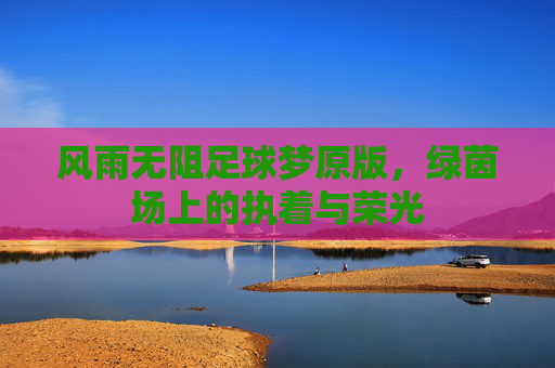 风雨无阻足球梦原版,绿茵场上的执着与荣光