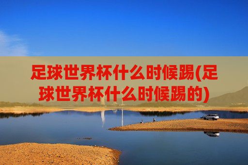 足球世界杯什么时候踢(足球世界杯什么时候踢的)
