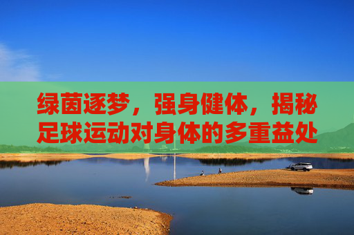 绿茵逐梦,强身健体,揭秘足球运动对身体的多重益处