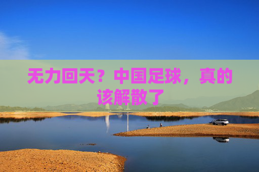 无力回天?中国足球,真的该解散了