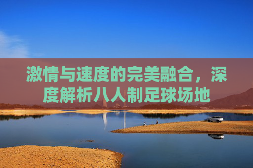 激情与速度的完美融合,深度解析八人制足球场地