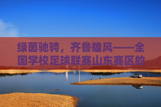 绿茵驰骋,齐鲁雄风——全国学校足球联赛山东赛区的精彩绽放