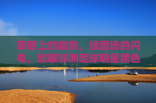 草原上的猎豹，绿茵场的闪电，致敬非洲足球明星黑色闪电