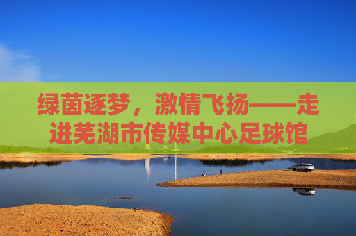 绿茵逐梦,激情飞扬——走进芜湖市传媒中心足球馆