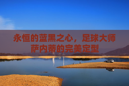 永恒的蓝黑之心,足球大师萨内蒂的完美定型