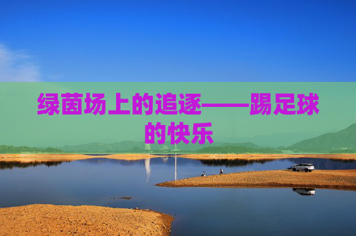 绿茵场上的追逐——踢足球的快乐