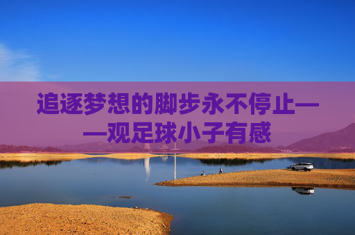 追逐梦想的脚步永不停止——观足球小子有感
