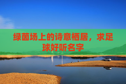 绿茵场上的诗意栖居，求足球好听名字