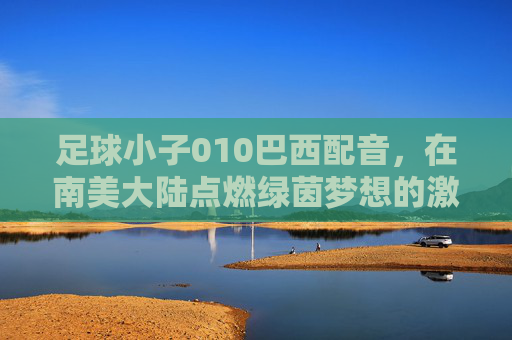 足球小子010巴西配音,在南美大陆点燃绿茵梦想的激情之声