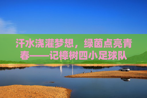 汗水浇灌梦想，绿茵点亮青春——记樟树四小足球队