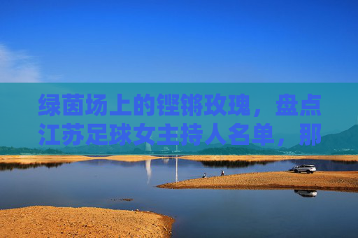 绿茵场上的铿锵玫瑰,盘点江苏足球女主持人名单,那些熟悉的解说声音