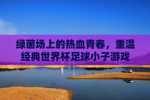 绿茵场上的热血青春,重温经典世界杯足球小子游戏