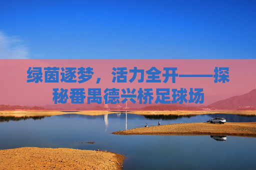 绿茵逐梦，活力全开——探秘番禺德兴桥足球场