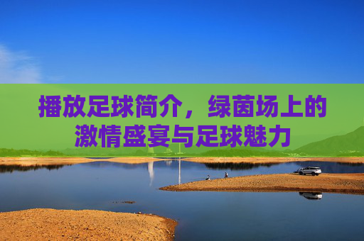 播放足球简介,绿茵场上的激情盛宴与足球魅力